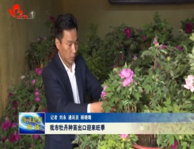  菏泽市牡丹种苗出口迎来旺季 