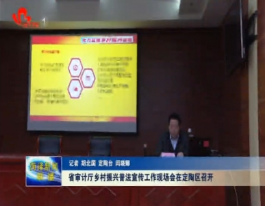 省审计厅乡村振兴普法宣传工作现场会在定陶区召开