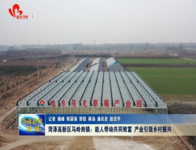 菏泽高新区马岭岗镇：能人带动共同致富 产业引领乡村振兴