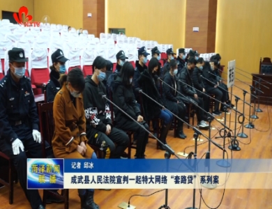 成武法院宣判一起特大网络“套路贷”系列案