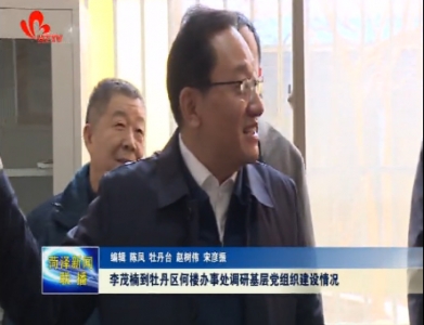 李茂楠到牡丹区何楼办事处调研基层党组织建设情况