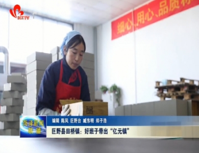 巨野县田桥镇：好班子带出“亿元镇”