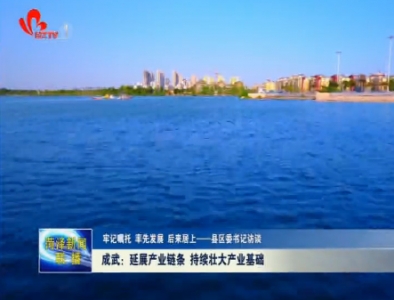 【县区委书记访谈】成武：延展产业链条 持续壮大产业基础