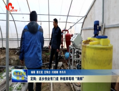 定陶：返乡创业有门道 种植草莓喂“海鲜”