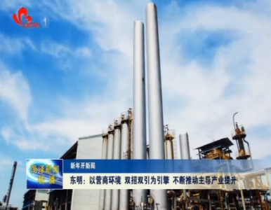 东明：以营商环境 双招双引为引擎 不断推动主导产业提升