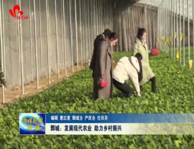 鄄城：发展现代农业 助力乡村振兴