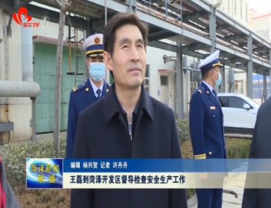 王磊到菏泽开发区督导检查安全生产工作