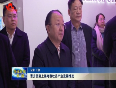 曹升灵到上海考察牡丹产业发展情况