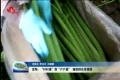 定陶：“村村通”到“户户通” 铺就群众幸福路