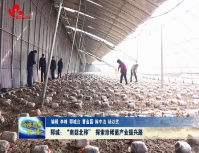 郓城：“南菇北移” 探索珍稀菌产业振兴路
