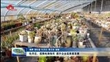 牡丹区：搭乘电商快车 提升企业高质量发展