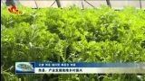 单县：产业发展助推乡村振兴