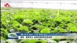曹县：精准发力 全面巩固脱贫攻坚成果