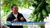 牡丹区李村镇：建设沿黄绿色生态长廊 打造特色旅游风情带