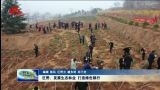 巨野：发展生态林业 打造绿色银行