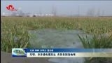 东明：井井通电惠民生 农民告别浇地难