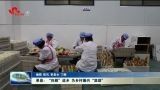 单县：“归雁”返乡 为乡村振兴“添劲”