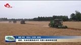 成武：社会化服务进乡村 托管小麦迎来双丰收