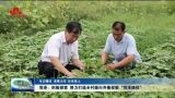 【牢记嘱托 谋事力作 后来居上】菏泽：积极探索 努力打造乡村振兴齐鲁样板“菏泽路径”