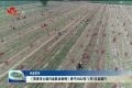 《菏泽市土壤污染防治条例》将于2022年1月1日起施行