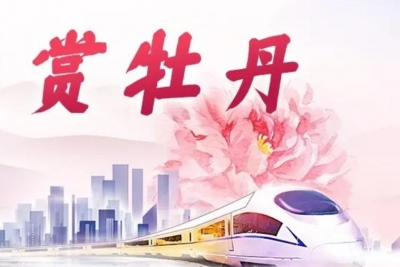 坐着高铁游菏泽｜来“中国牡丹之都”赏牡丹