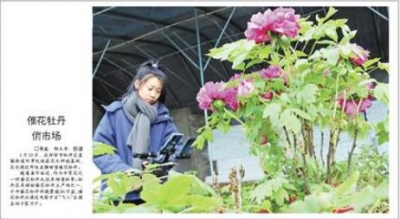 经济发展“蝶变”财政增收“领跑”