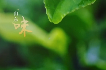 好品山东丨山东味山东产山东景……好客山东欢迎你