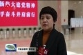 菏泽市政协委员热议政府工作报告