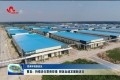 【营商环境看县区】曹县：持续优化营商环境 释放加速发展新活力