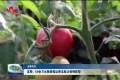 【点赞菏泽】定陶：50余万元物资抵达青岛助力疫情防控