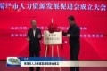 菏泽市人力资源发展促进会成立