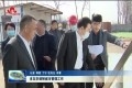 肖友华调研城市管理工作