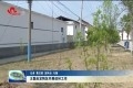王磊赴定陶区开展巡林工作
