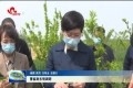 曹临到东明调研