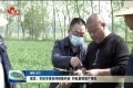 成武：农技专家田间把脉问诊 护航夏粮增产增收