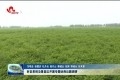 时圣恩到沿黄县区开展专题协商议题调研