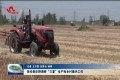 张伦到巨野县调研“三夏”生产和乡村振兴工作