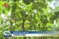 李茂楠到牡丹区调研