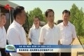 张伦到单县、成武调研生态环境保护工作
