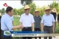 王磊调研种质资源保护和育种创新工作