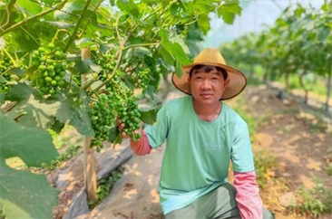  葡萄种植结出“乡村振兴果”——市开发区佃户屯街道张堂社区发展葡萄产业侧记 