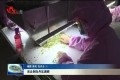 肖云到牡丹区调研