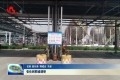 张伦到郓城县调研
