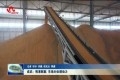 成武：税惠赋能 市场主体增动力