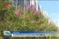 时圣恩到菏泽经济开发区督导全国文明城市创建工作