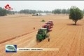 山东农担公司菏泽管理中心：金融服务助力夏粮颗粒归仓