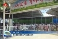 张伦调度创城和大气污染防治工作