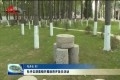 牡丹区胡集镇开展政府开放日活动