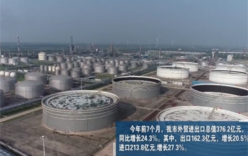 前7个月菏泽市外贸进出口同比增长24.3%