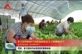 【奋进新征程 建功新时代】曹县：奋力描绘农业高质量发展新画卷